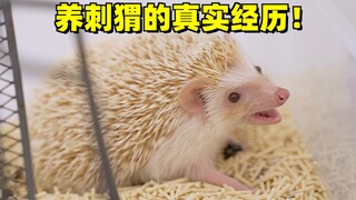 This adorable hedgehog is so much work, it's killing me!