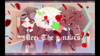 Meet The Snakes🐍 || DRARRY,BLAIRON & PANSMIONE || MY VERSION || KINDA ORIGINAL || Weirdotica ||