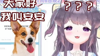 主包的名字怎么跟我邻居家的狗一模一样
