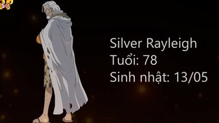 Tất tần tất về Silvers Rayleigh  Huyền thoại mạnh ngang tứ hoàng p1