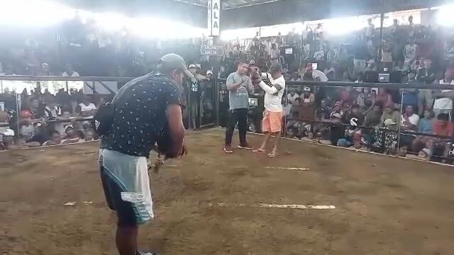 milsem black line,2x wner champion 2hits🙏🥰🥰