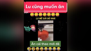 giaitri chócute chómèohàihước  Lu thần thánh