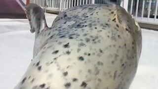 بب بب بب بب بب بب بب بب بب بب بب بب بب بب بب بب بب بب بب بب بب بب بب بب بب بب بب بب بب بب بب بب بب ب