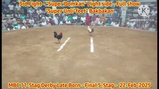 Super Domkan "Light side" 3rd Fight Loss - 2025 WPC MBC 11-Stag Derby Lateborn Edition - Finals