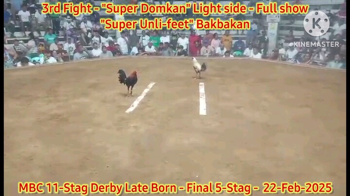 Super Domkan "Light side" 3rd Fight Loss - 2025 WPC MBC 11-Stag Derby Lateborn Edition - Finals