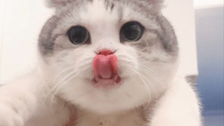 ลูกของฉันสามารถเป็นนายแบบเด็กได้ไหม?