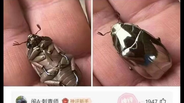 "Ảnh hài hước 7"