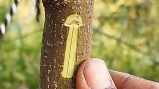 一起来看看熟练的工人们令人满意的工作现场！