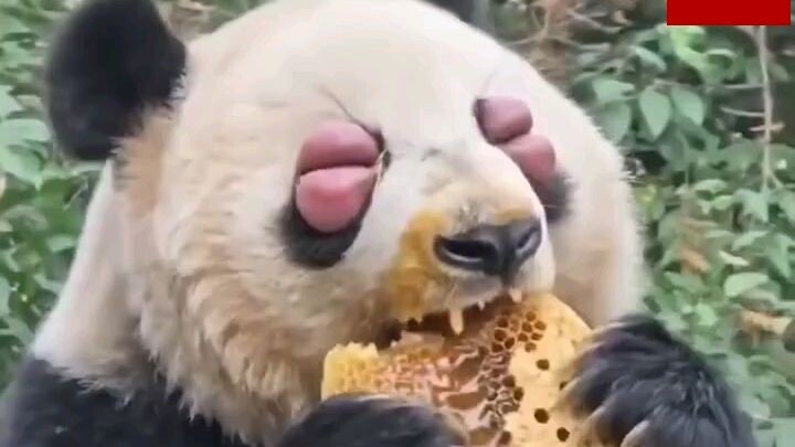 wow