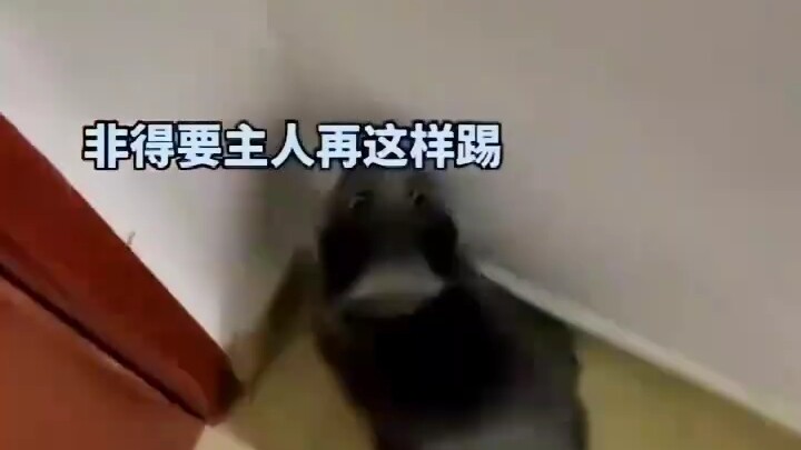 เจ้านาย: เขาชอบแบบนี้แหละ