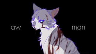 oh baby...aw man || warrior cats || Ivypool