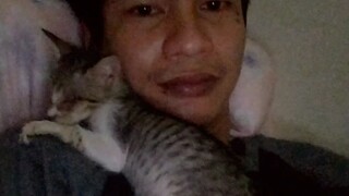 we adopt a blind kitty