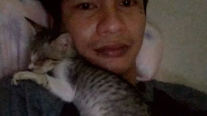 we adopt a blind kitty