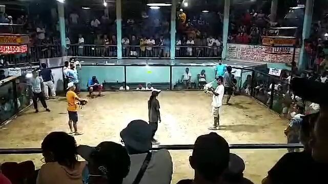 pawarat gamefram
