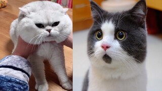 ก็น่ารักน่าแกล้งกันขนาดนี้