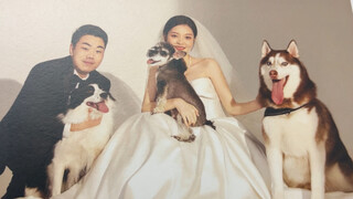After a month of waiting, the wedding photos I took with the dogs are finally here!