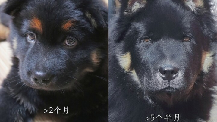 ใครสอนให้คุณพูดยาวขนาดนี้เหรอ???