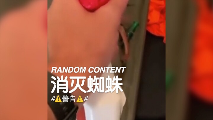 RANDOM CONTENT | Eliminate Spiders