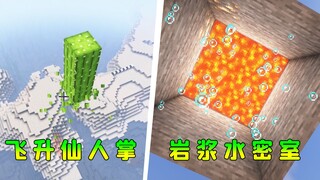 我的世界：飞升仙人掌，岩浆水密室，五个你可能不知道的MC特性