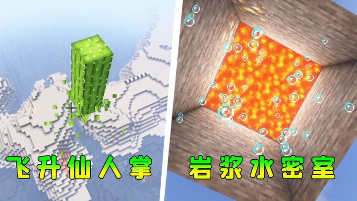 我的世界：飞升仙人掌，岩浆水密室，五个你可能不知道的MC特性