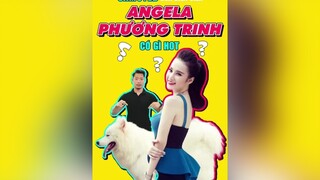 Chó Samoyed của Angela Phương Trinh có gì đặc biệt? tuitienpet education dcgr samoyed pet thucung angelaphuongtrinh