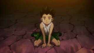 Gon x Pitou Amv