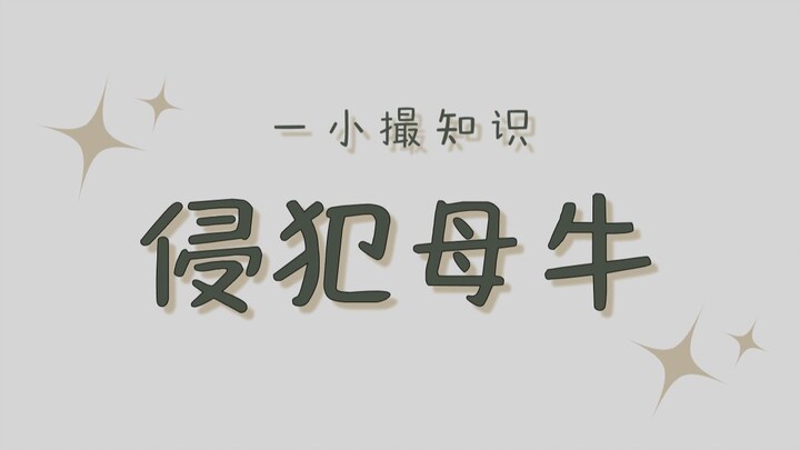 A cow was knocked down by a train, and an Indian man took advantage of the situation.