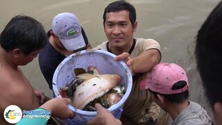 Cá Diêu Hồng Hấp Muối Ớt Siêu Cay | Hội Ngộ Miền Tây - Tập 259