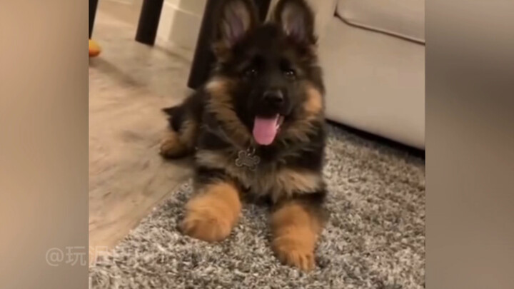 Who isn’t a little cutie these days…
