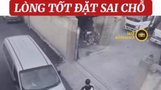 ngốc thật...