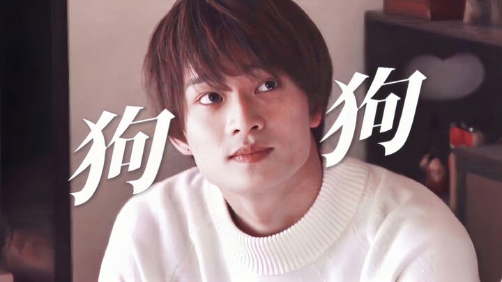 Japanese BL has evolved to the point of human-dog romance?! A deceased dog was reborn to repay its k
