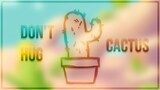 Don't Hug Cactus (Lyrics)