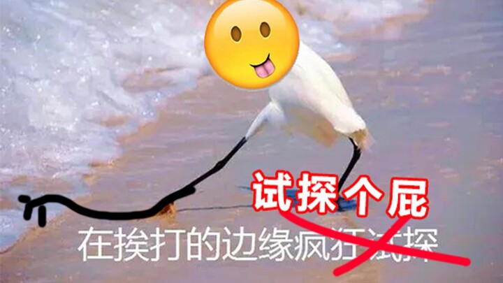 【Werewolf: Extreme Gameplay】