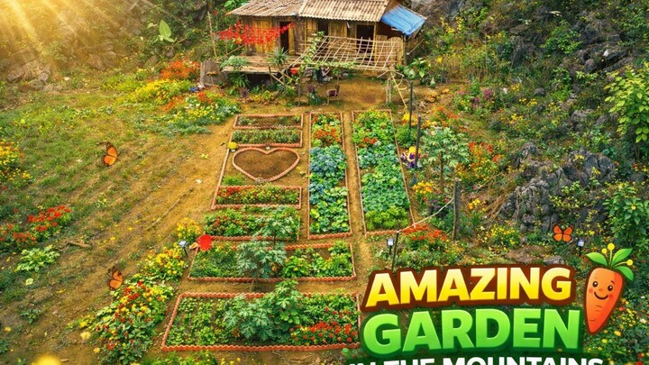 Amazing Mountain Garden – A Hidden Paradise in Nature