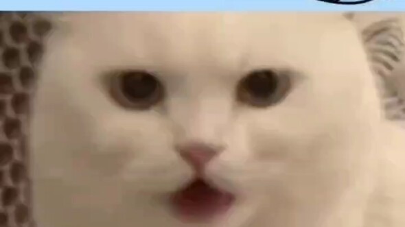 Anak-anak manusia yang suka mengomel