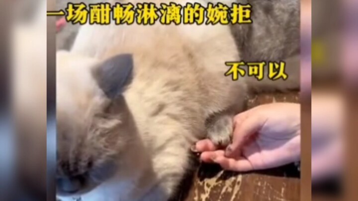 Một lời từ chối chân thành và thỏa đáng.