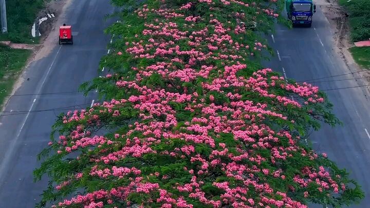 বাংলাদেশের সৌন্দর্য, গাজীপুর
