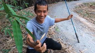 Vô tình câu cá Bóng Dừa. Cá Bóng Dừa chiên giòn nước mắm xoài. - Bin Đen Miền Tây # 106