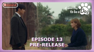 A Good Day To Be A Dog Episode 13 Preview & Spoiler [ENG SUB]