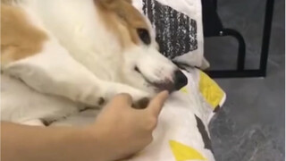 他会认为是你手指头臭