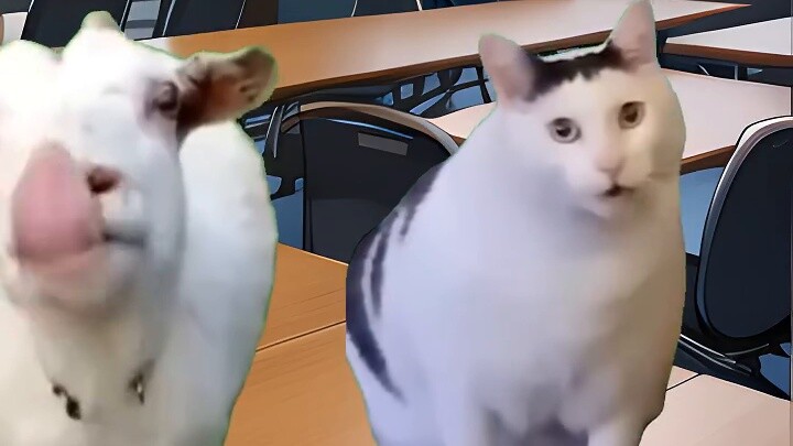 1 minute to create otaku toys | cat meme