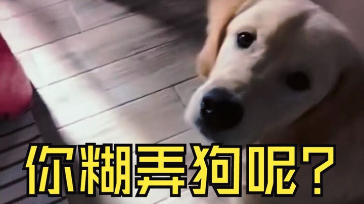 Doggy: Old man, how do you eat it raw???
