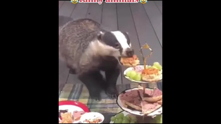 อะไรอยู่ในส้วม!