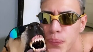 玩B-box行 但是别折腾狗