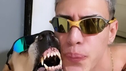 玩B-box行 但是别折腾狗