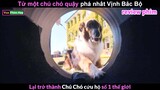 Chú chó Quậy Phá nhất vịnh Bắc Bộ - review phim Chó Cứu Hộ Ruby