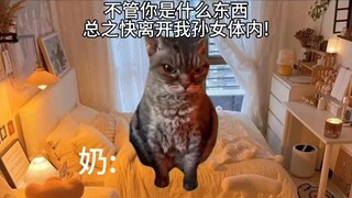 【猫meme】用cn拿快递后奶奶以为我被野飘夺舍