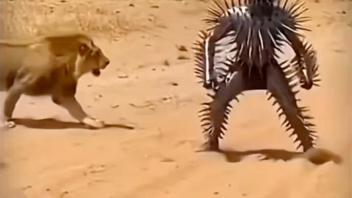 การประดิษฐ์ในชีวิตจริง