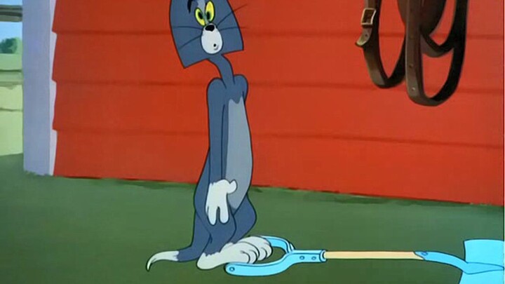 Tom and Jerry (1953) - Episode 077 | Just Ducky