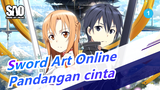 [Sword Art Online] Pandangan cinta di SMA_1